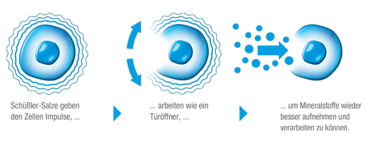 BIOCHEMIE DHU 3 Ferrum phosphoricum D 6 tabliet, 200 kapsúl