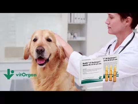 Video o produkte NeyDIL® č. 43 Revitorgan® D4 pro vet.Ampulky, 5x2 ml