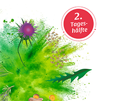BASEN AKTIV Čaj č. 2 Púpava lekárska Organic Salus, 40 kapsúl