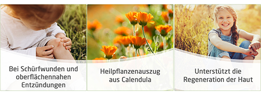 CALENDULA Masť na rany, 25 g