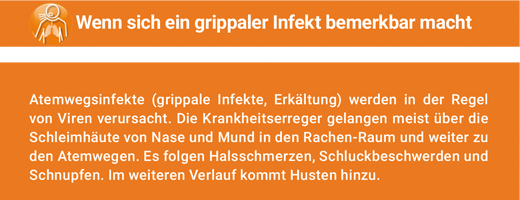 ANGOCIN Anti Infekt N filmom obalené tablety, 200 ks