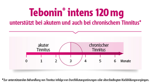 TEBONIN intenzívne 120 mg filmom obalené tablety, 60 ks