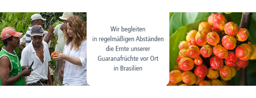 GUARANA BIO Čistý prášok, 100 g