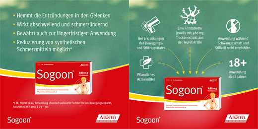 SOGOON 480 mg filmom obalené tablety, 200 kusov