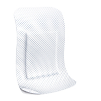 LEUKOPLAST mäkké biele omietkové pásy 38x72 mm, 10 ks