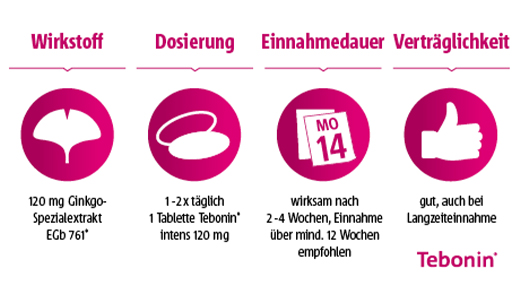 TEBONIN intenzívne 120 mg filmom obalené tablety, 60 ks
