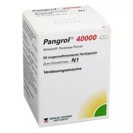 PANGROL 40 000 tvrdých kapsúl s enterickou vrstvou, 50 ks