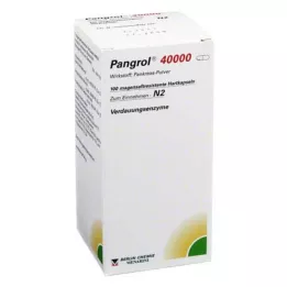 PANGROL 40 000 tvrdých kapsúl s enterickou vrstvou, 100 ks