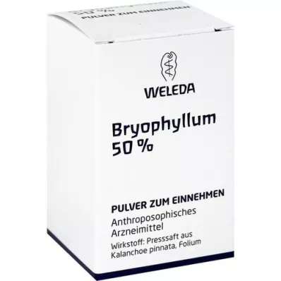 BRYOPHYLLUM 50% prášok na orálne použitie, 20 g