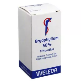 BRYOPHYLLUM 50% prášok na orálne použitie, 20 g