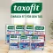 TAXOFIT Horčík 400+B1+B6+B12+kyselina listová 800 gran, 20 ks