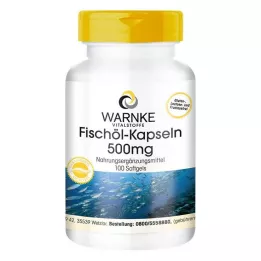 FISCHÖL KAPSELN 500 mg, 100 ks