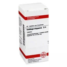SOLIDAGO VIRGAUREA D 4 tablety, 80 kapsúl