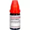 BERBERIS LM XVIII Riedenie, 10 ml