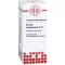 ZINCUM VALERIANICUM D 12 riedenie, 20 ml