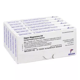 HEPAR MAGNESIUM D 4 ampulky, 48X1 ml