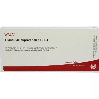 GLANDULAE SUPRARENALES GL D 4 ampulky, 10X1 ml GLANDULAE SUPRARENALES GL D 4 ampulky, 10X1 ml