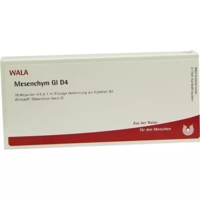 MESENCHYM GL D 4 ampulky, 10X1 ml