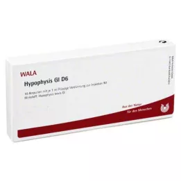 HYPOPHYSIS GL D 6 ampuliek, 10X1 ml