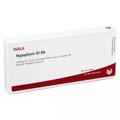 HYPOPHYSIS GL D 6 ampuliek, 10X1 ml