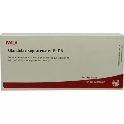 GLANDULAE SUPRARENALES GL D 6 ampuliek, 10X1 ml