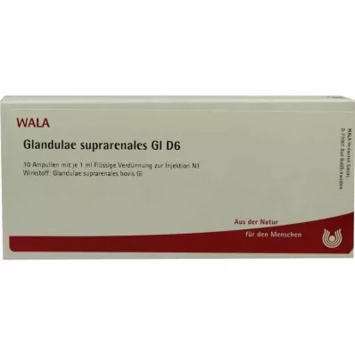 GLANDULAE SUPRARENALES GL D 6 ampuliek, 10X1 ml GLANDULAE SUPRARENALES GL D 6 ampuliek, 10X1 ml