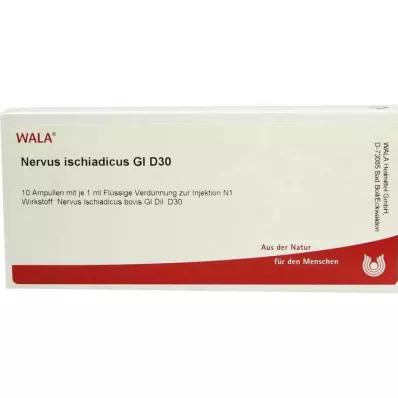 NERVUS ISCHIADICUS GL D 30 ampuliek, 10X1 ml NERVUS ISCHIADICUS GL D 30 ampuliek, 10X1 ml