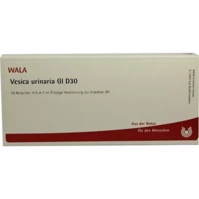VESICA URINARIA GL D 30 ampuliek, 10X1 ml
