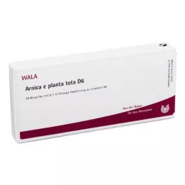 ARNICA E Planta tota D 6 ampuliek, 10X1 ml