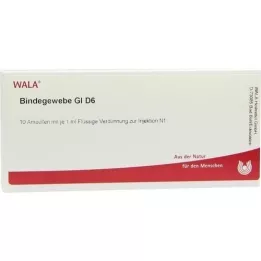 BINDEGEWEBE GL D 6 ampuliek, 10X1 ml