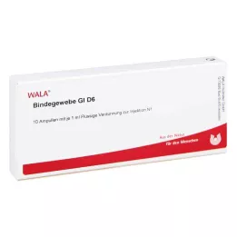 BINDEGEWEBE GL D 6 ampuliek, 10X1 ml