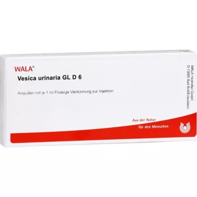 VESICA URINARIA GL D 6 ampuliek, 10X1 ml