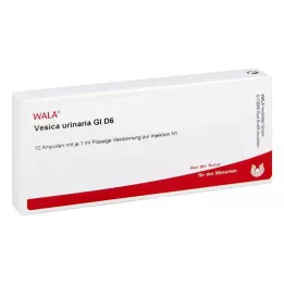 VESICA URINARIA GL D 6 ampuliek, 10X1 ml