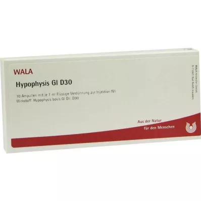 HYPOPHYSIS GL D 30 ampuliek, 10X1 ml HYPOPHYSIS GL D 30 ampuliek, 10X1 ml