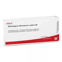 MANDRAGORA OFFICINARIUM e radice D 6 ampuliek, 10X1 ml
