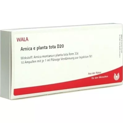 ARNICA E Planta tota D 20 ampuliek, 10X1 ml