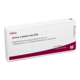 ARNICA E Planta tota D 20 ampuliek, 10X1 ml