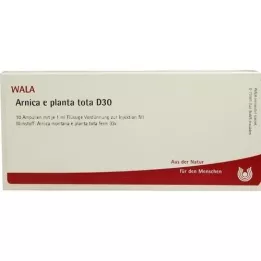 ARNICA E Planta tota D 30 ampuliek, 10X1 ml