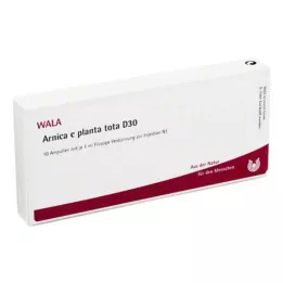 ARNICA E Planta tota D 30 ampuliek, 10X1 ml