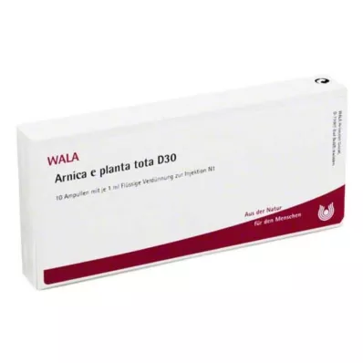 ARNICA E Planta tota D 30 ampuliek, 10X1 ml