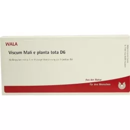 VISCUM MALI e planta tota D 6 ampuliek, 10X1 ml