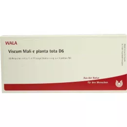 VISCUM MALI e planta tota D 6 ampuliek, 10X1 ml