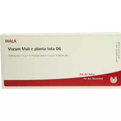 VISCUM MALI e planta tota D 6 ampuliek, 10X1 ml VISCUM MALI e planta tota D 6 ampuliek, 10X1 ml