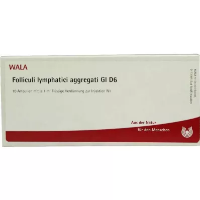 FOLLICULI LYMPHATICI agregáty GL D 6 ampuliek, 10X1 ml FOLLICULI LYMPHATICI agregáty GL D 6 ampuliek, 10X1 ml