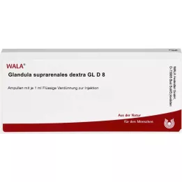 GLANDULA SUPRARENALES dextra GL D 8 ampuliek, 10X1 ml