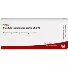 GLANDULA SUPRARENALES dextra GL D 12 ampuliek, 10X1 ml