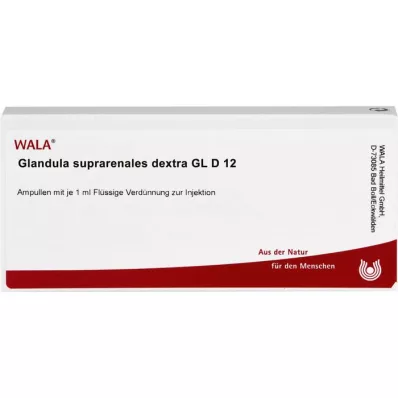 GLANDULA SUPRARENALES dextra GL D 12 ampuliek, 10X1 ml