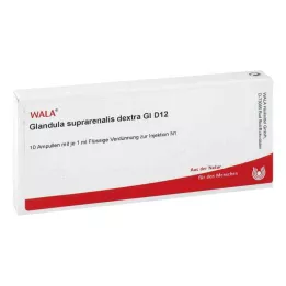 GLANDULA SUPRARENALES dextra GL D 12 ampuliek, 10X1 ml