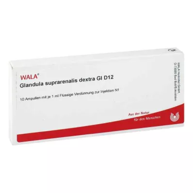 GLANDULA SUPRARENALES dextra GL D 12 ampuliek, 10X1 ml GLANDULA SUPRARENALES dextra GL D 12 ampuliek, 10X1 ml