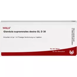 GLANDULA SUPRARENALES dextra GL D 30 ampuliek, 10X1 ml